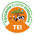 TEI